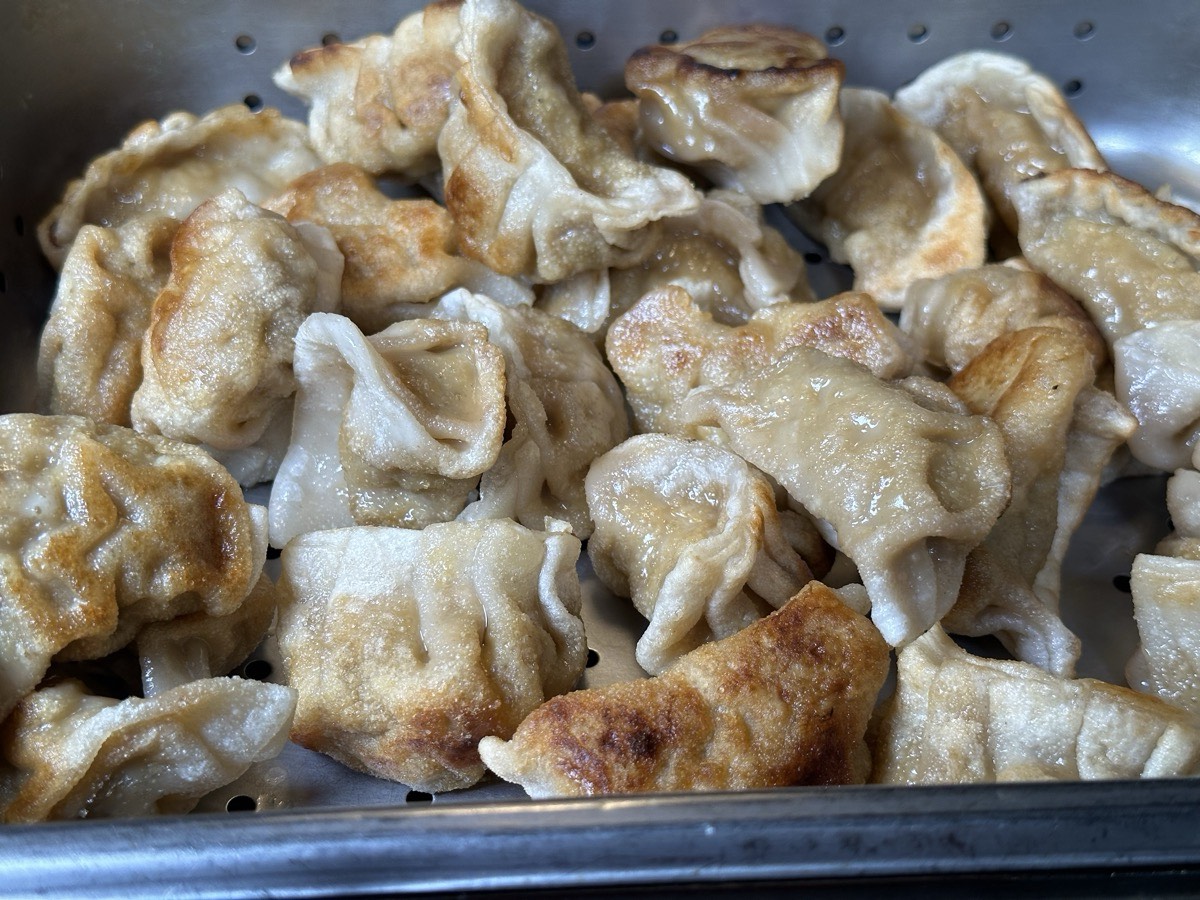 A tray of golden pan-fried potstickers