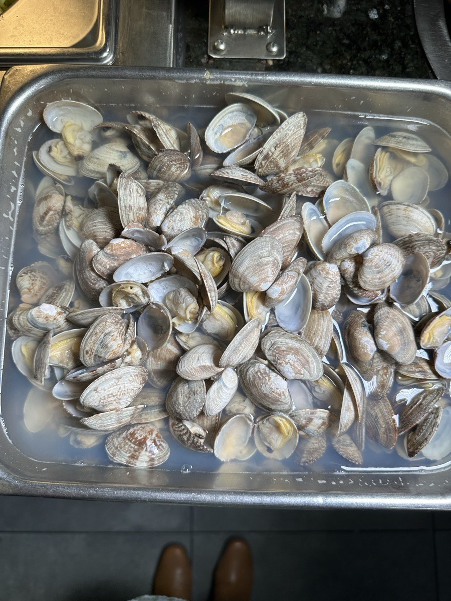 Steamed clams. A tray of steamed clams in their shells